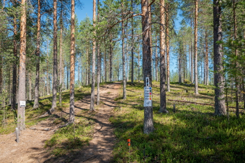 Kainuu-Trail-Hossa-National-Park-Finland-Hossan-kansallispuisto-Huosilampi-viimeinen-nousu-maaliin-500px.jpg
