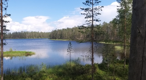 Kainuu-Trail-Hossa-National-Park-Finland-polkujuoksu-trail-running-Kokalmusperä-500px.jpg