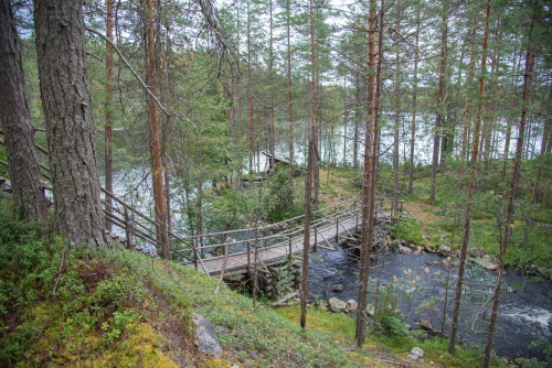Kainuu-Trail-Hossa-National-Park-Finland-Hossan-kansallispuisto-Hakokoski-silta-500px.jpg