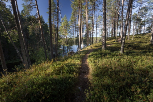 Kainuu-Trail-Hossa-National-Park-Finland-Hossan-kansallispuisto-Huosiusharju-Huosiusvirta-500px.jpg