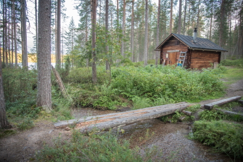 Kainuu-Trail-Hossa-National-Park-Finland-polkujuoksu-trail-running-78-km-Ala-Valkeinen-autiotupa-wilderness-cottage-500px.jpg