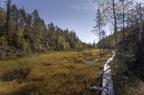 Kainuu-Trail-Hossa-National-Park-Finland-polkujuoksu-trail-running-78-km-Julma-Olkky-Ölkynperä-pitkospuut-500px.jpg