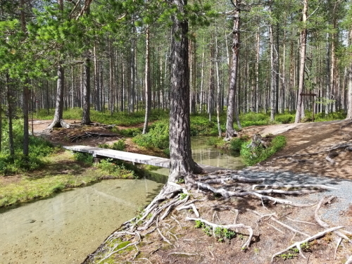 Kainuu-Trail-Hossa-National-Park-Muikkupuro-500px.jpeg