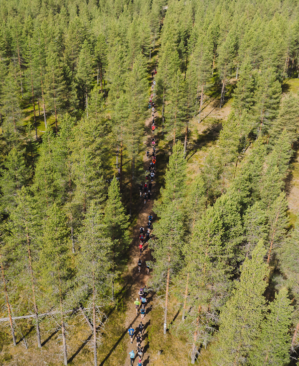 Kainuu-Trail-2026-Hossa-National-Park-Finland-polkujuoksu-polkujuoksutapahtuman-suosio-räjähti-600-px.png